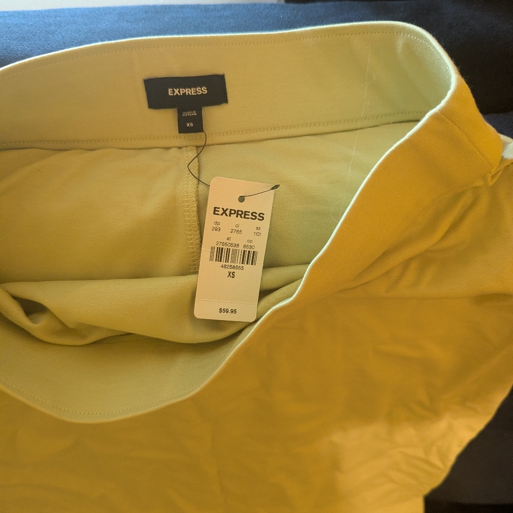 Express Soft Green Casual Skirt XS